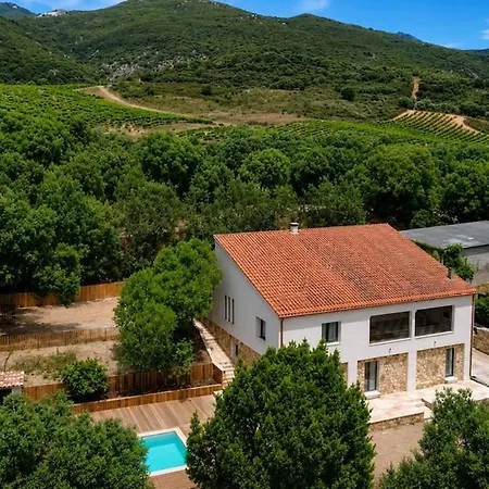 Villa Maison A Propriano De Standing A 5mn De La Fozzano