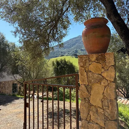 Villa Maison A Propriano De Standing A 5mn De La Fozzano