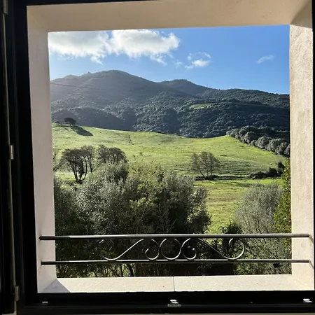 Maison A Propriano De Standing A 5mn De La Fozzano