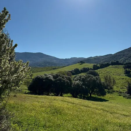 Maison A Propriano De Standing A 5mn De La Fozzano